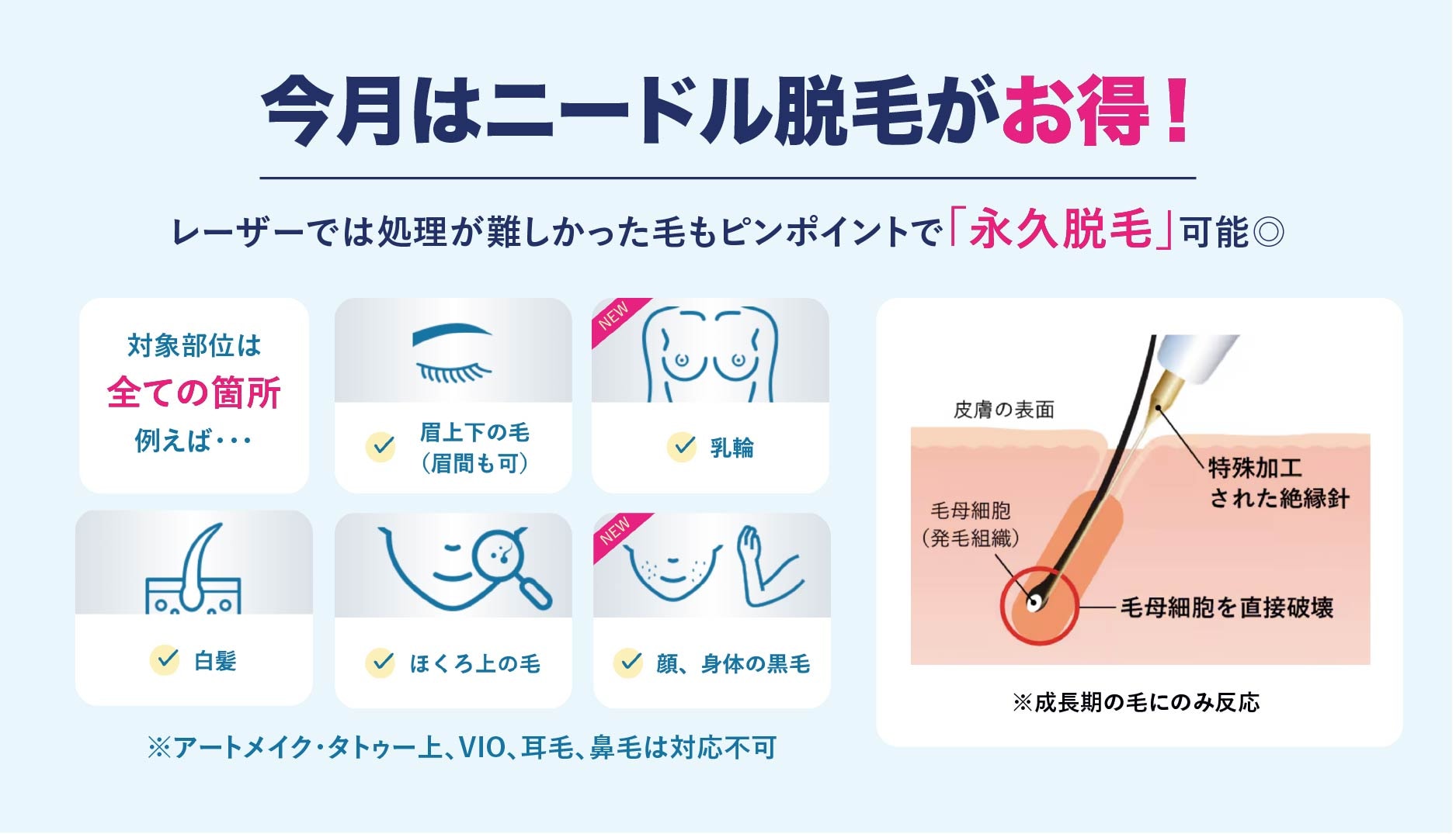 新宿本院は経験豊富なスタッフが多く在籍🎖️
