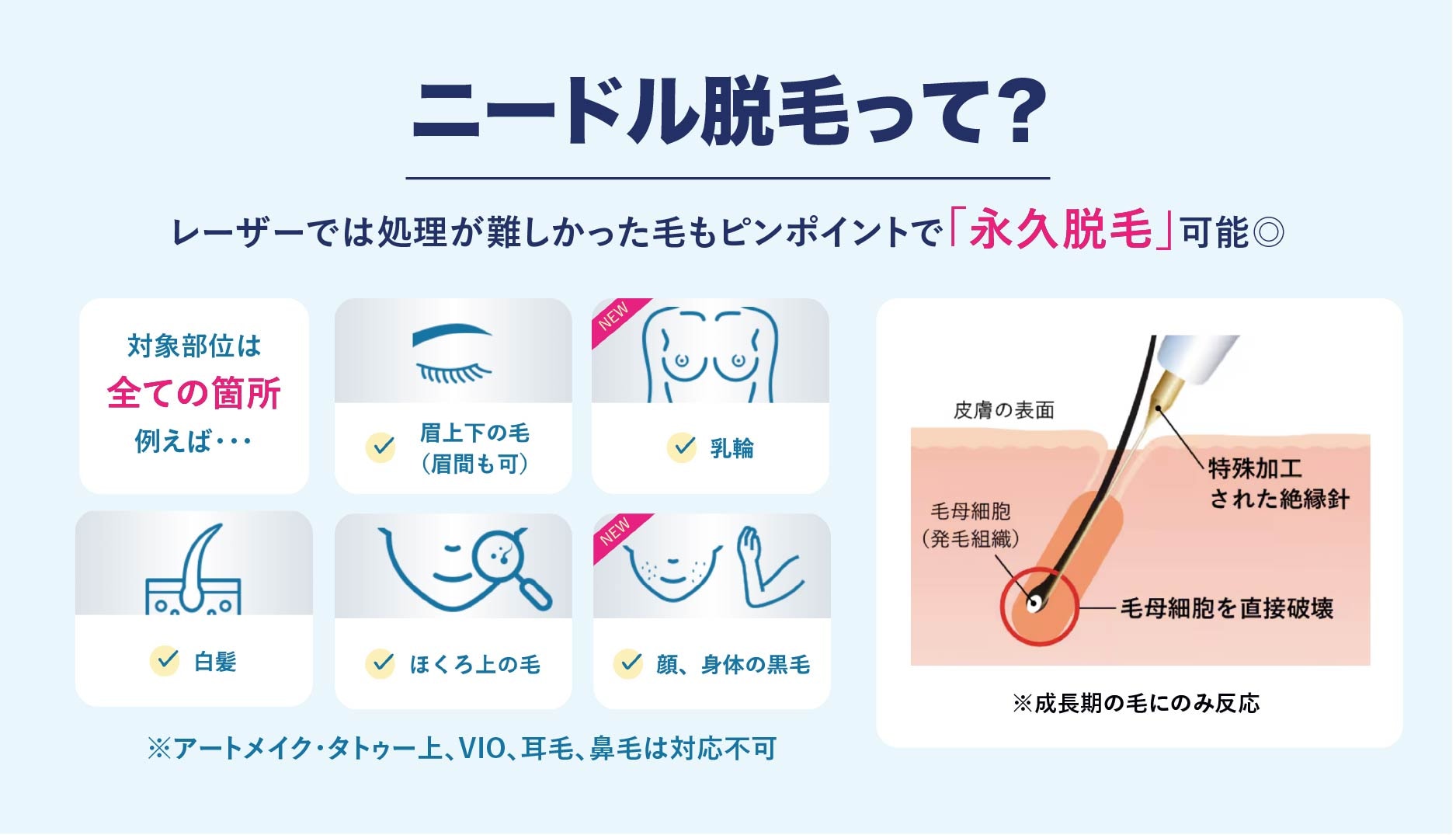 新宿本院は経験豊富なスタッフが多く在籍🎖️