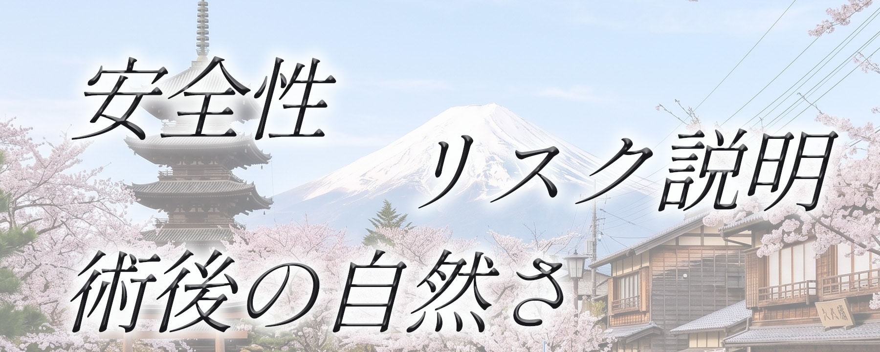 日本：慎重でリスク説明重視