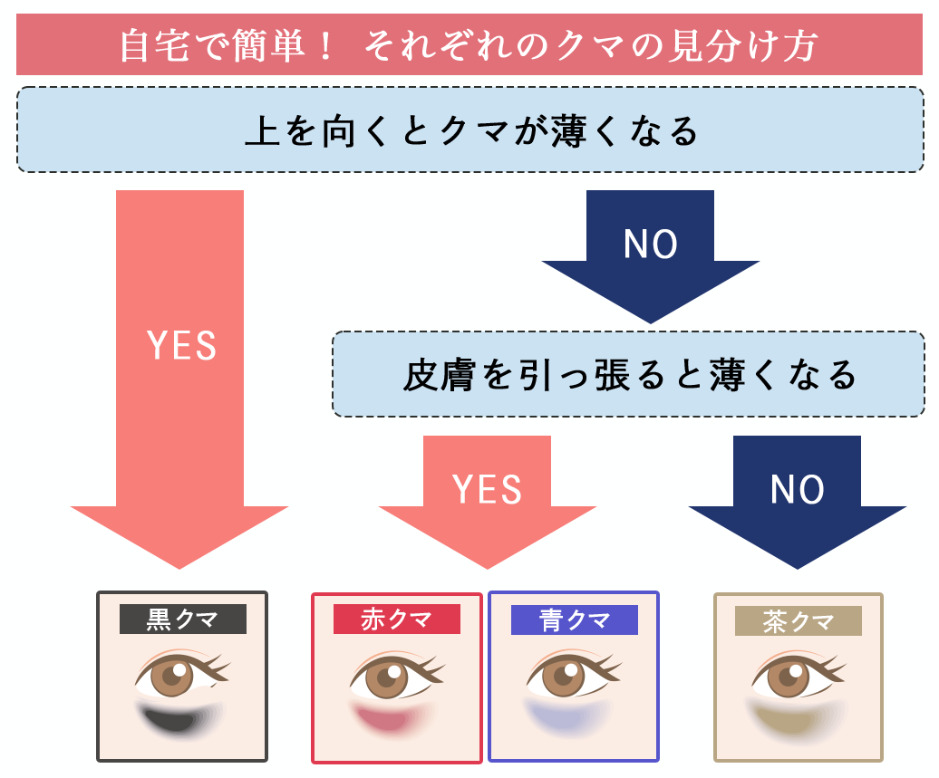 「はい / いいえ」で進めて、あなたのクマの種類をチェック！<br />
