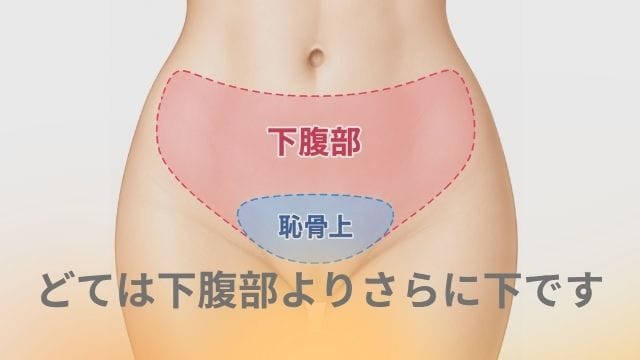 女性の「どて」ってどこ？痩せても膨らみが残る理由