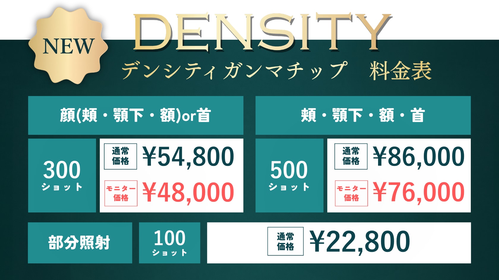 【NEW】デンシティ ガンマチップ料金表