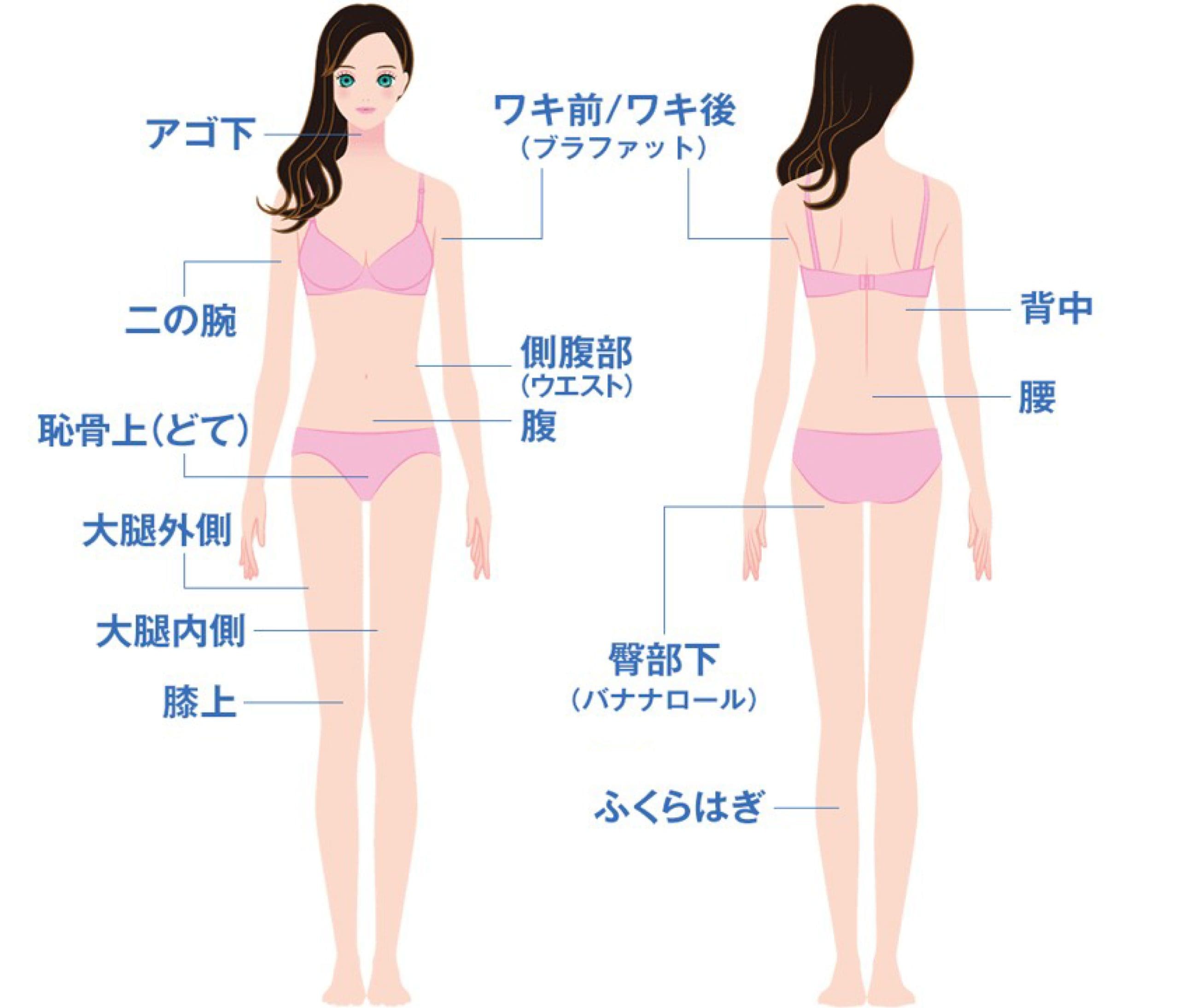 施術部位