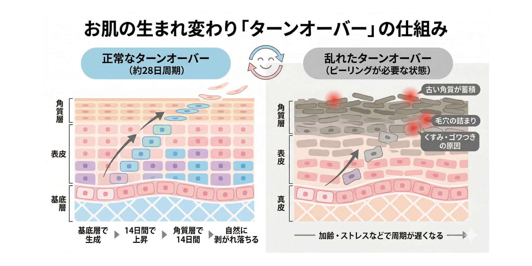 ターンオーバーを徹底サポート‼️