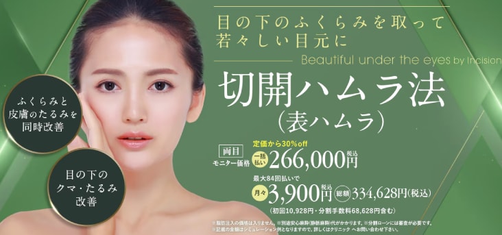 表ハムラ(切開ハムラ)法