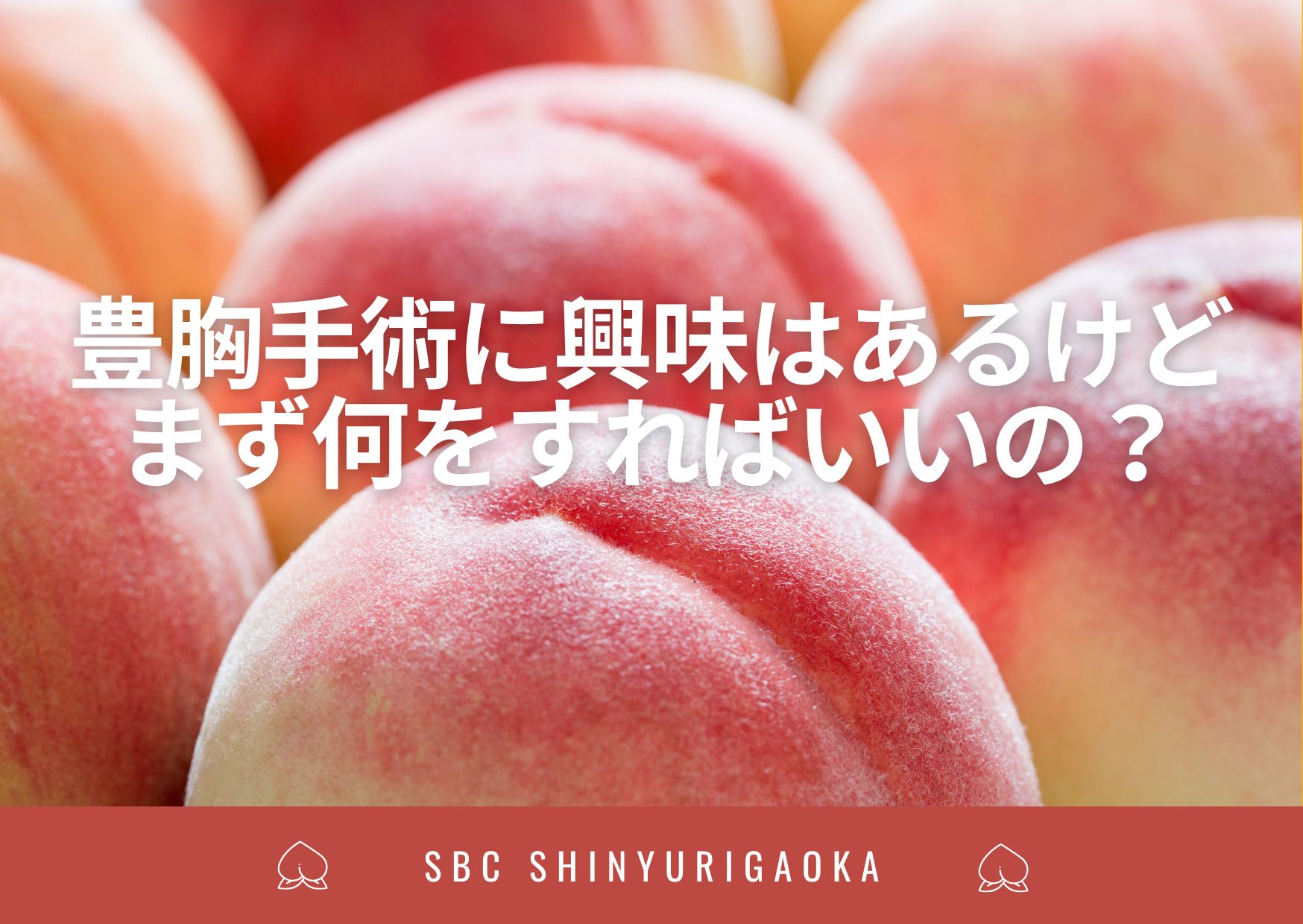 「豊胸手術に興味はあるけど、まず何をすればいいの？」「カウンセリングってどんな雰囲気？」