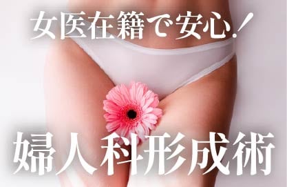 婦人科形成術