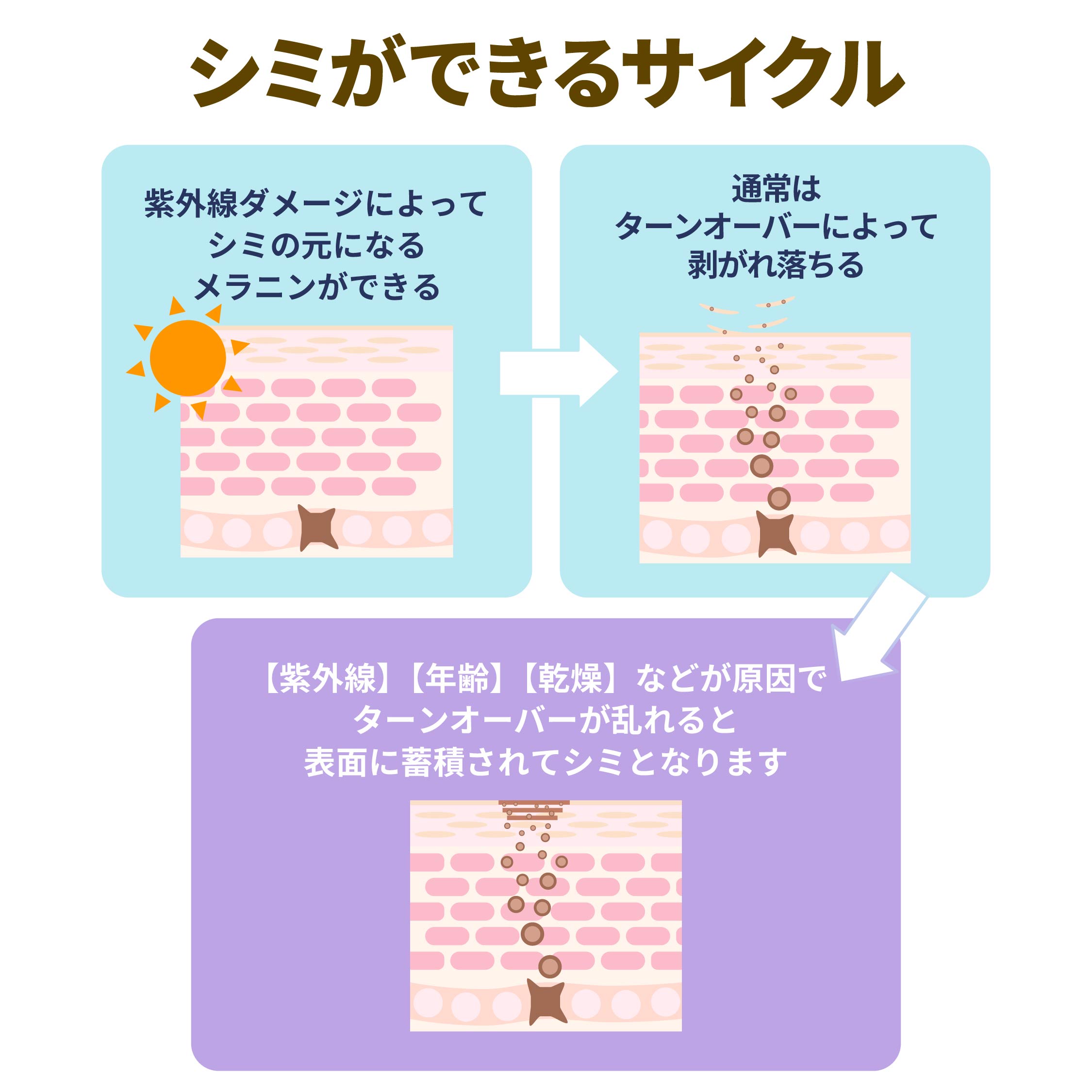 シミができるサイクルをご紹介します!
