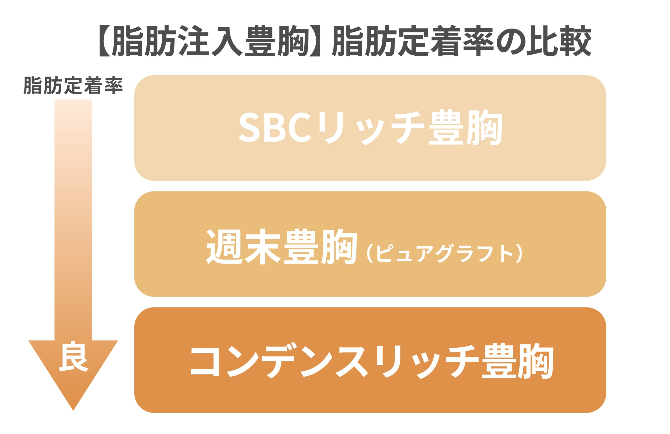 【脂肪注入豊胸】脂肪定着率の比較