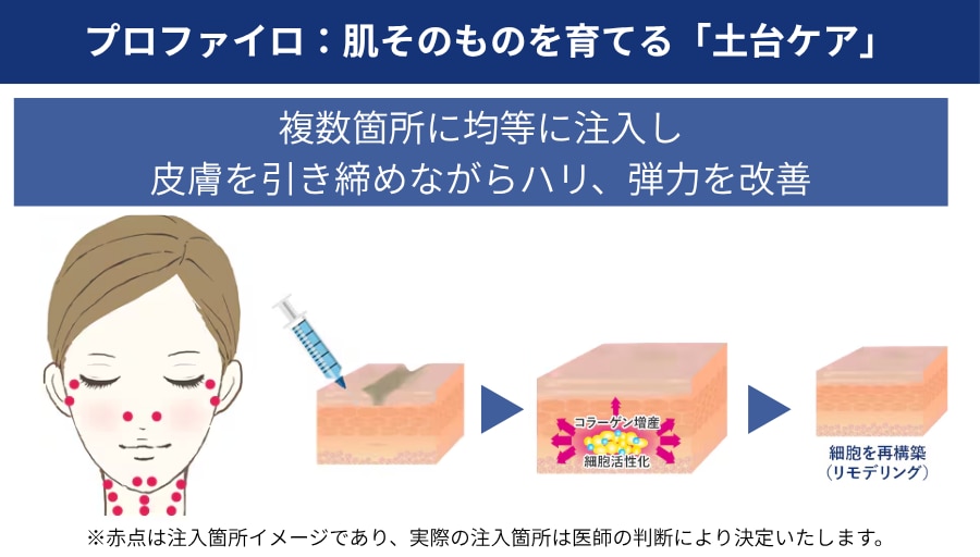 プロファイロ｜肌そのものを育てる「土台ケア」
