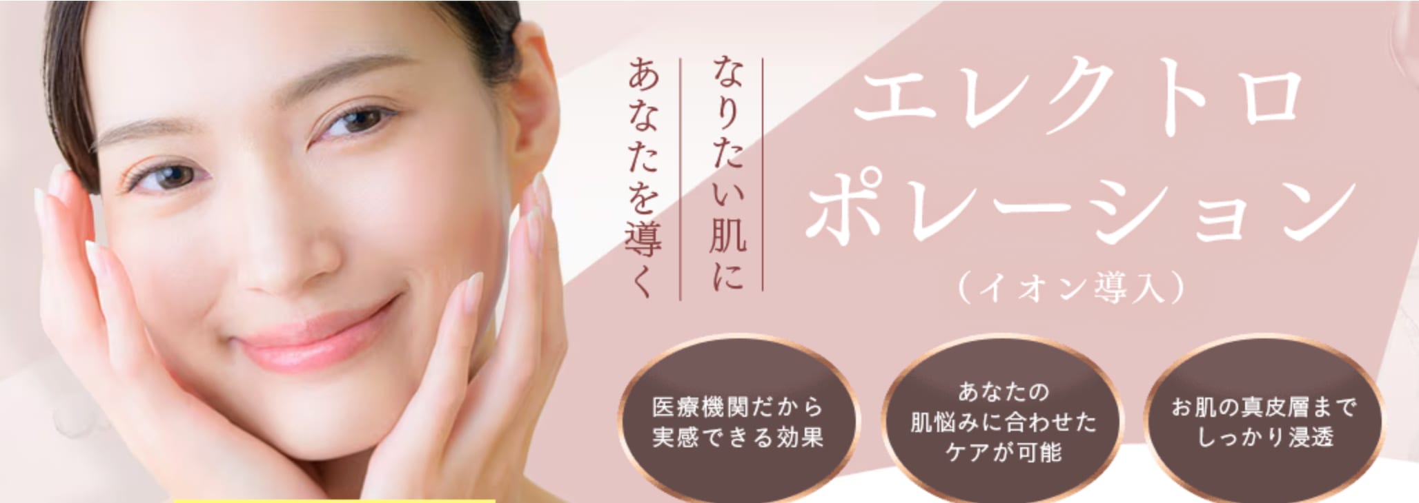 エレクトロポレーションの併用