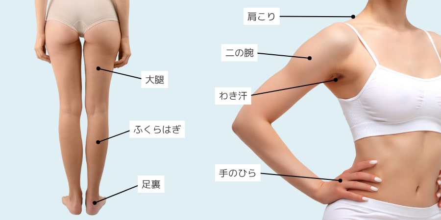 身体の対応部位