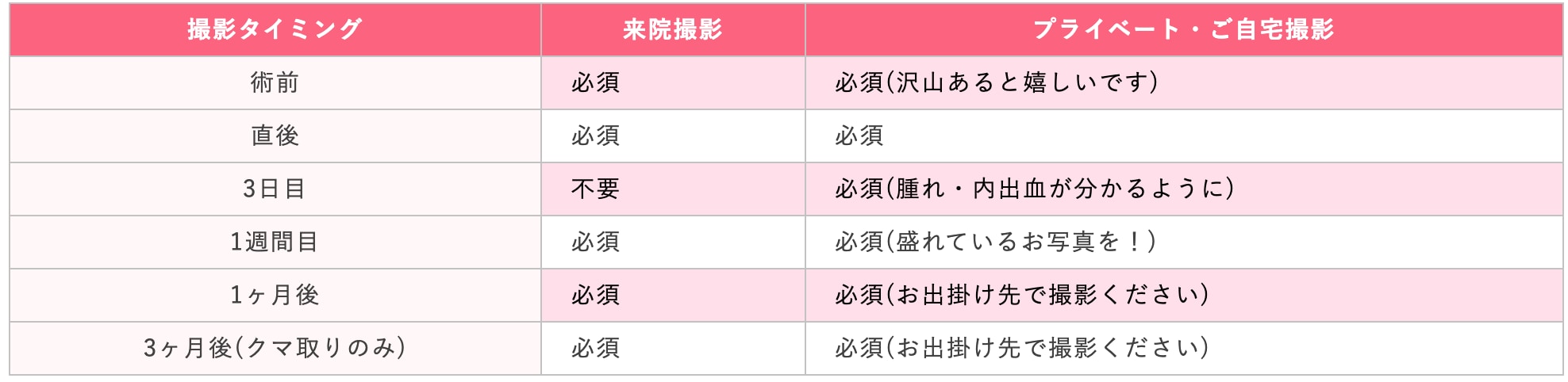 撮影内容