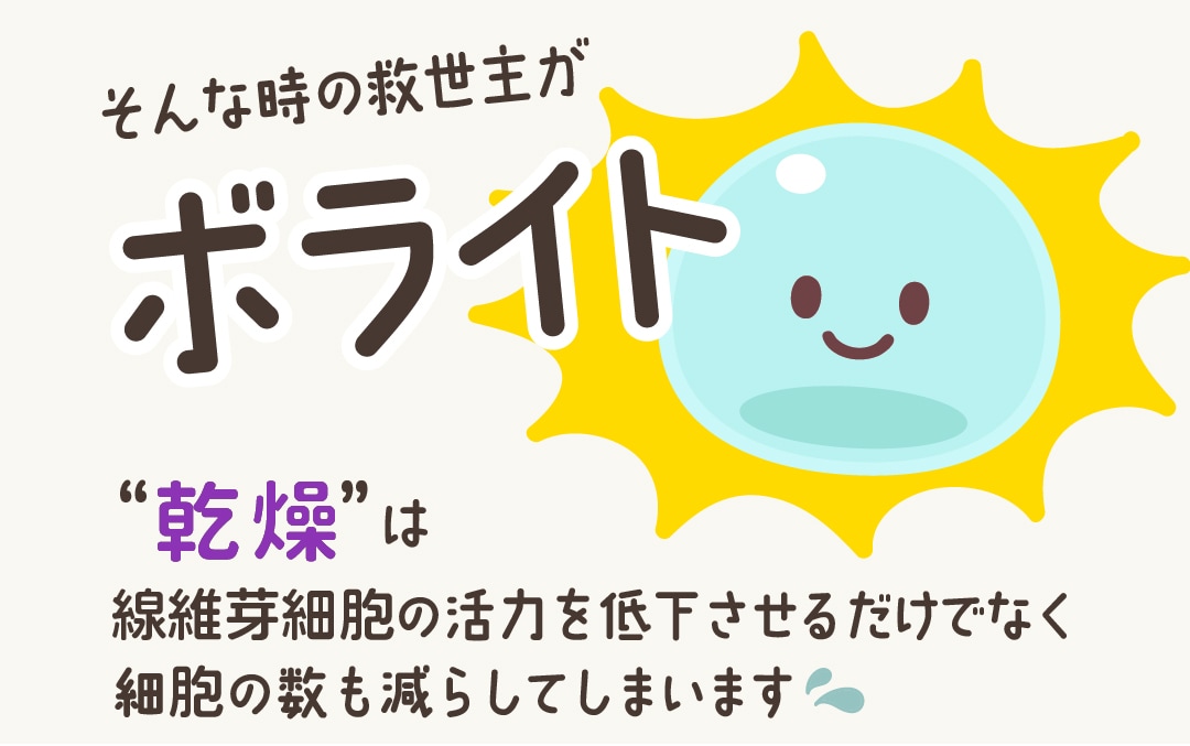 救世主「ボライト」の登場！