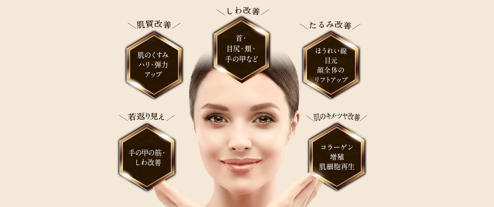 プロファイロとは