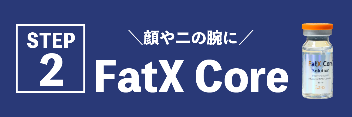 FatX Coreとは?