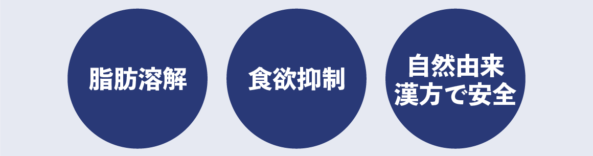 人気の理由