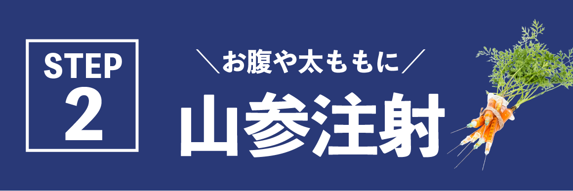 山参注射とは?
