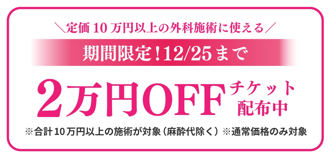 12月25日までの特別キャンペーン