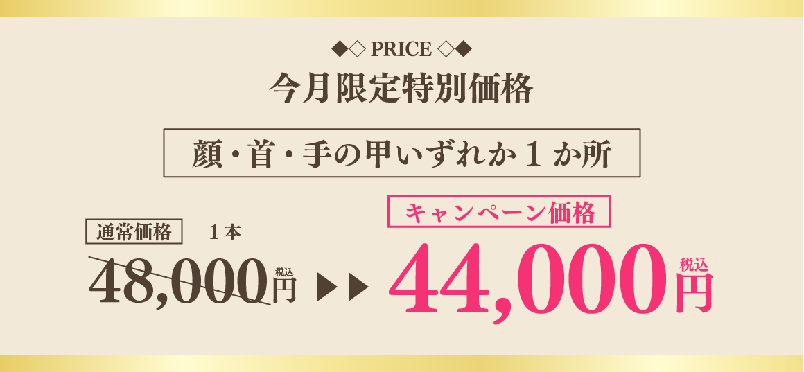 今月限定特別価格