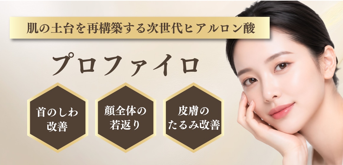 プロファイロとは？
