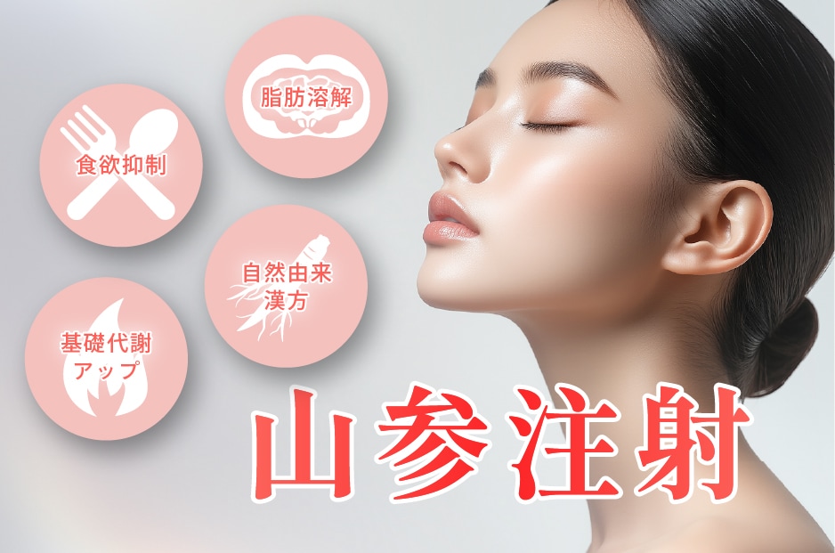 高麗人参の力で脂肪燃焼