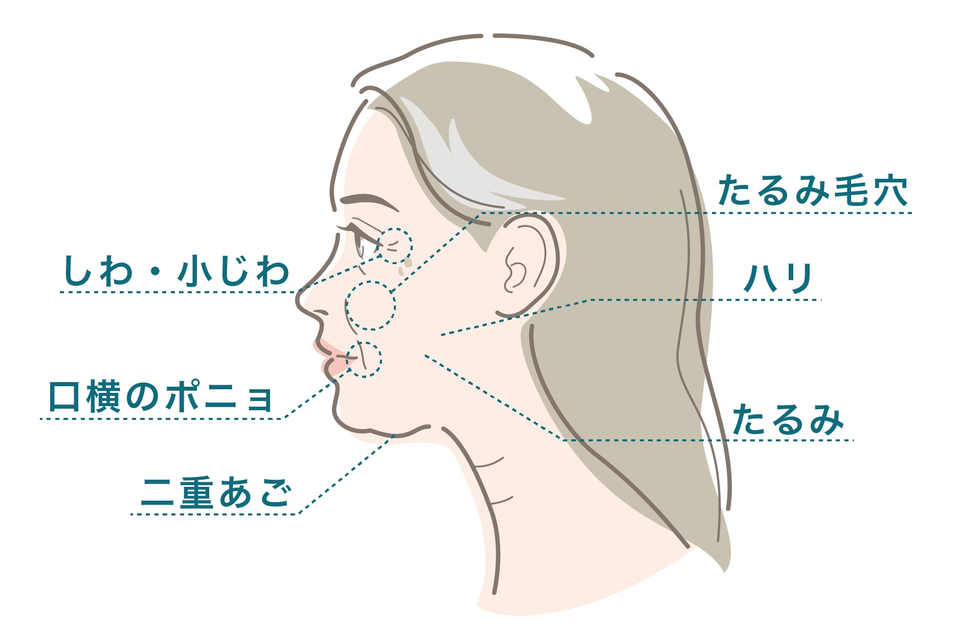こんな方にオススメ