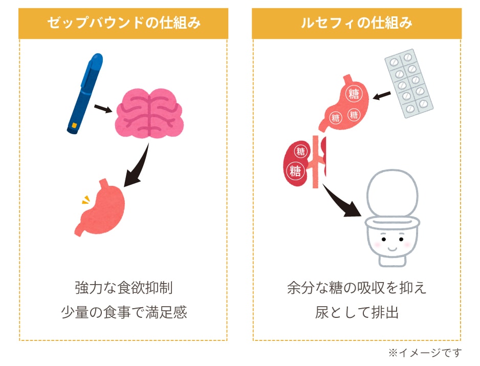 医療の力で食欲や代謝にアプローチするメディカルダイエットとは