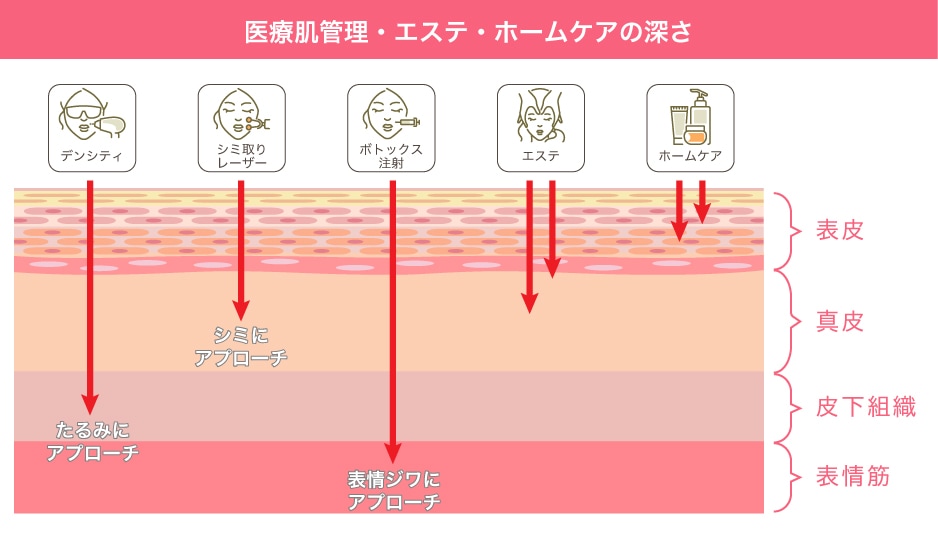 肌管理の基礎知識と従来のケアとの違い