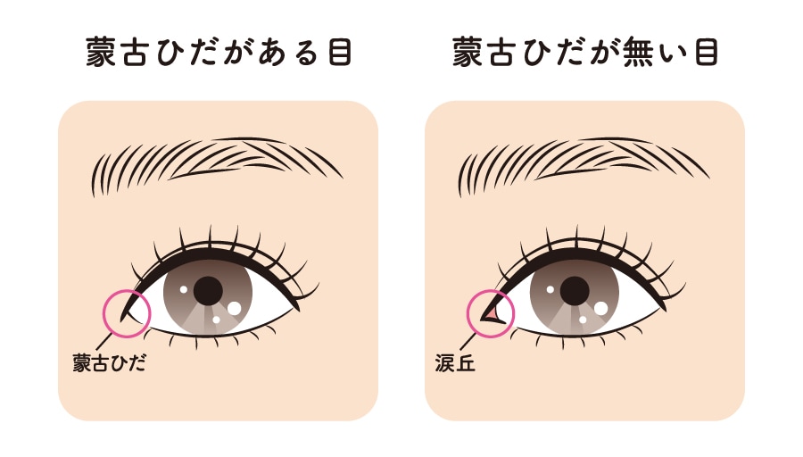 目と目の距離を整える