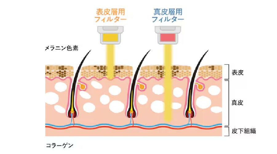 フォトダブルとは？