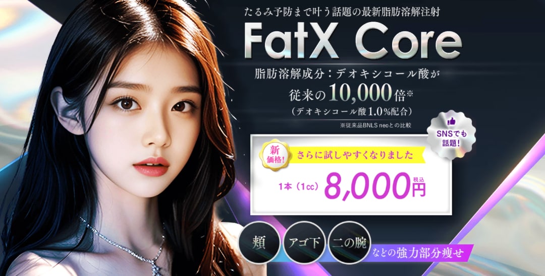 FatX Core