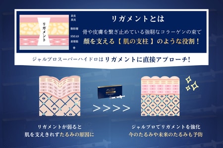 肌の土台から根本ケア！「リガメント（靭帯）」へアプローチするとは？