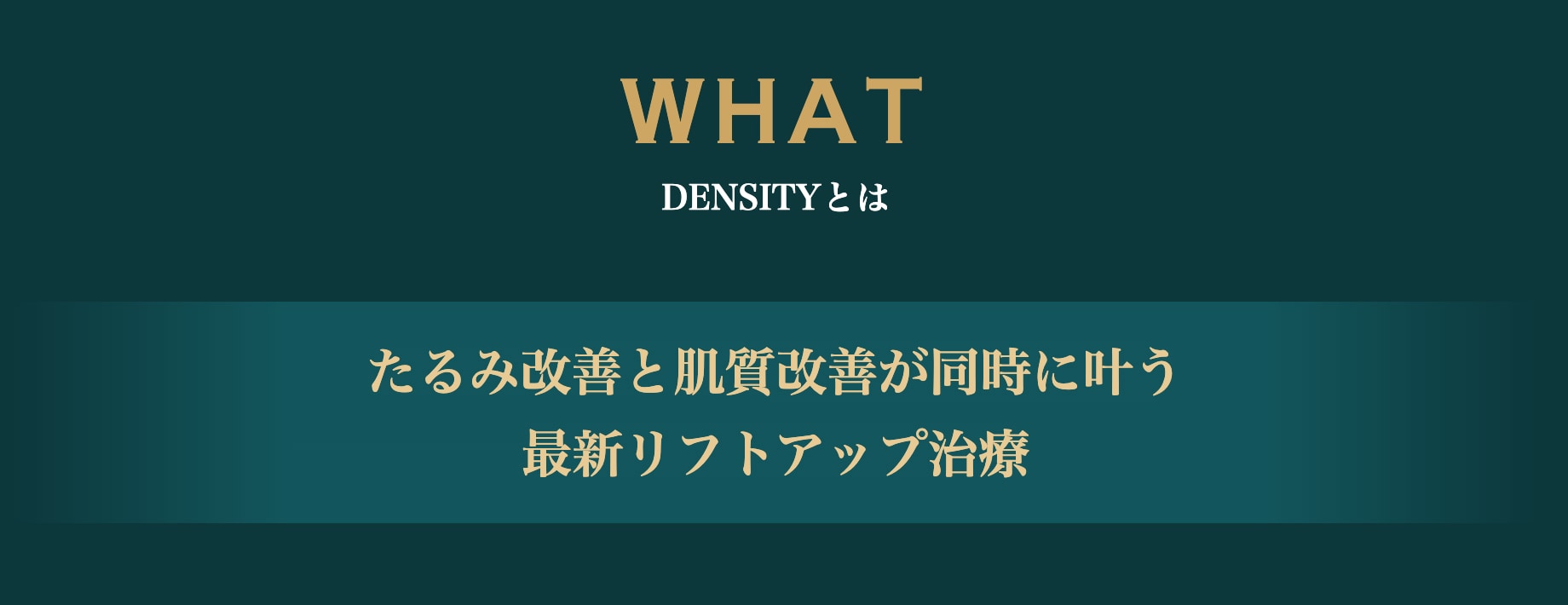 デンシティとは？