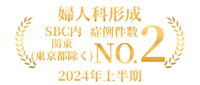 【🏅婦人科形成 SBC内 関東(東京都除く)症例数 No.２ ※2024上半期<br />
経験豊富な