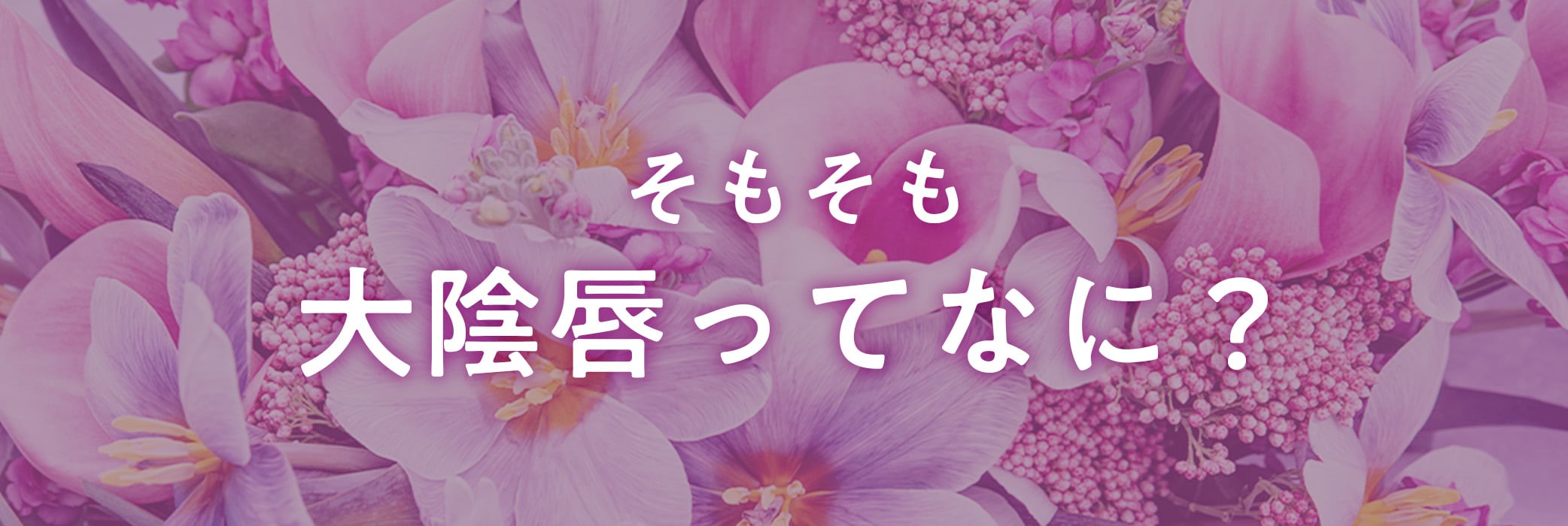 どんな部位なの？