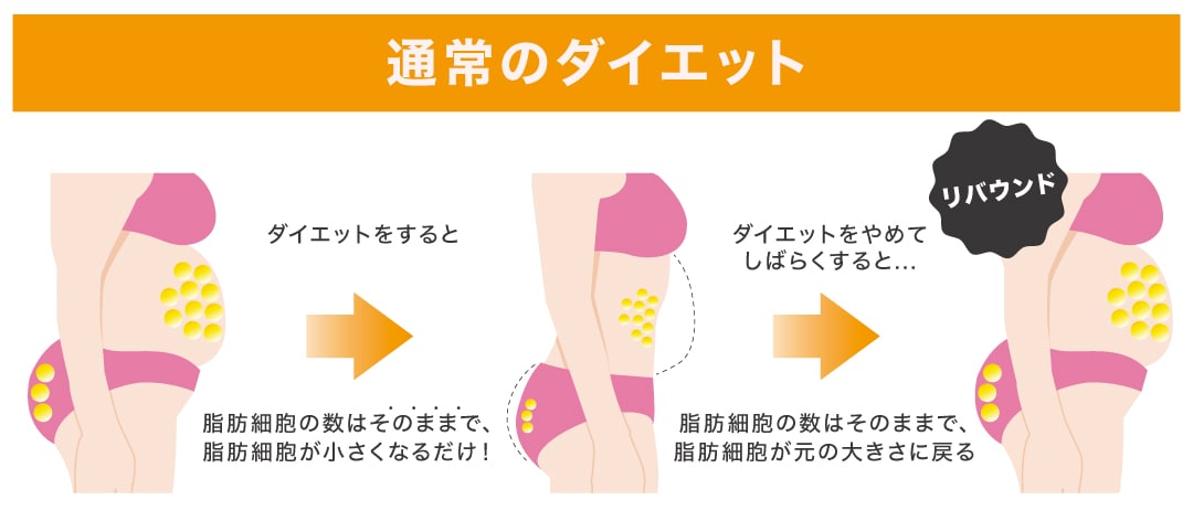 通常ダイエットでは