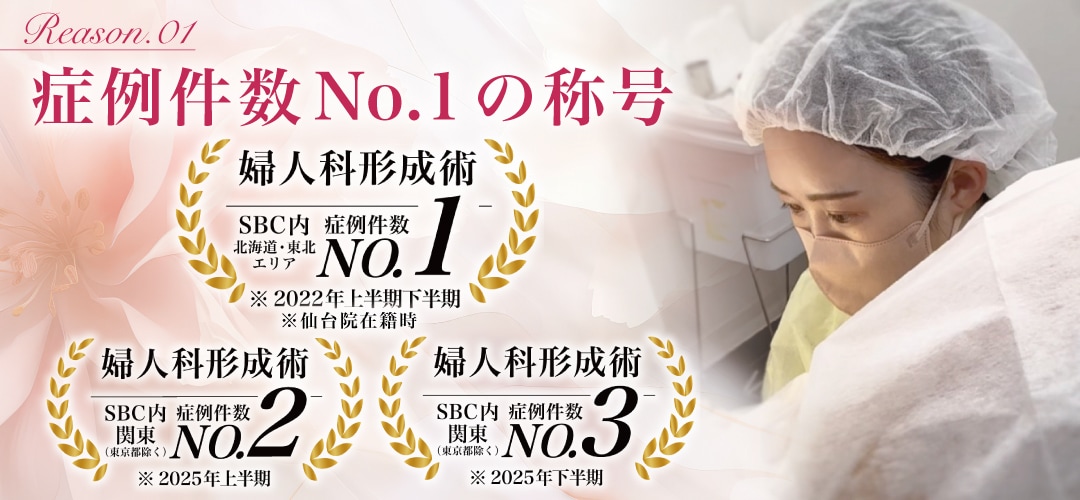 症例件数No.1の称号