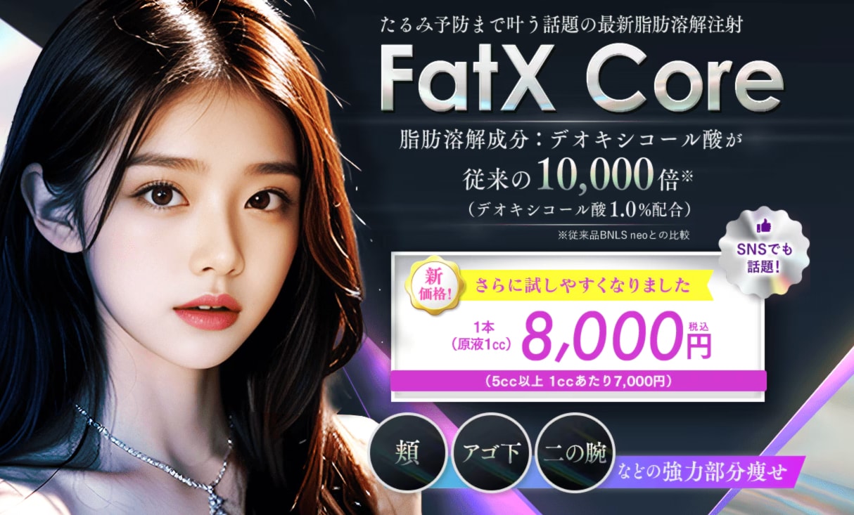 Fat X Coreとは?
