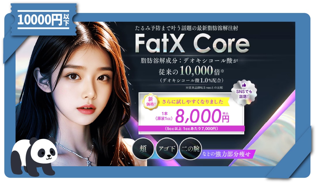 <b>FATXCORE(脂肪溶解注射)|【切らずに小顔】東京・上野で人気の部分痩せ注射!</b>