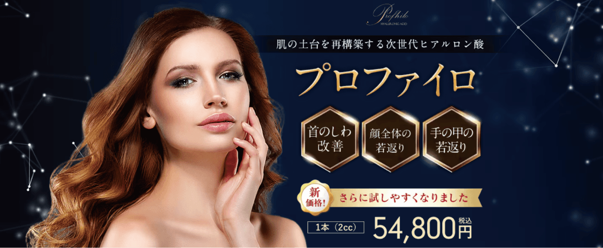 vs プロファイロ:「総合力」か「シンプルさ」か