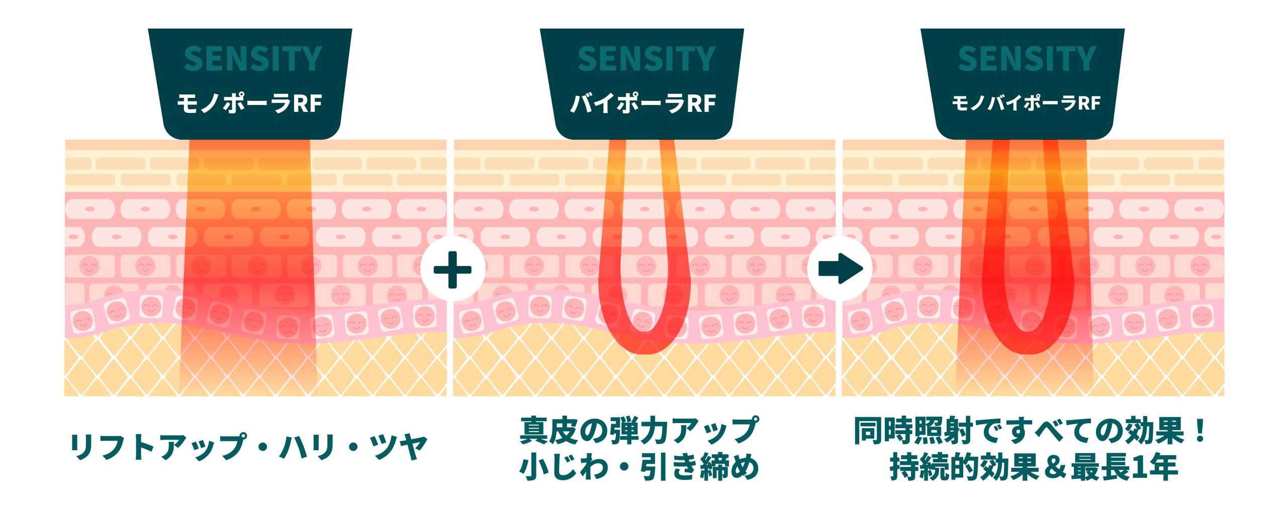 デンシティとは？即時性と持続性を両立する、肌の引き締め革命