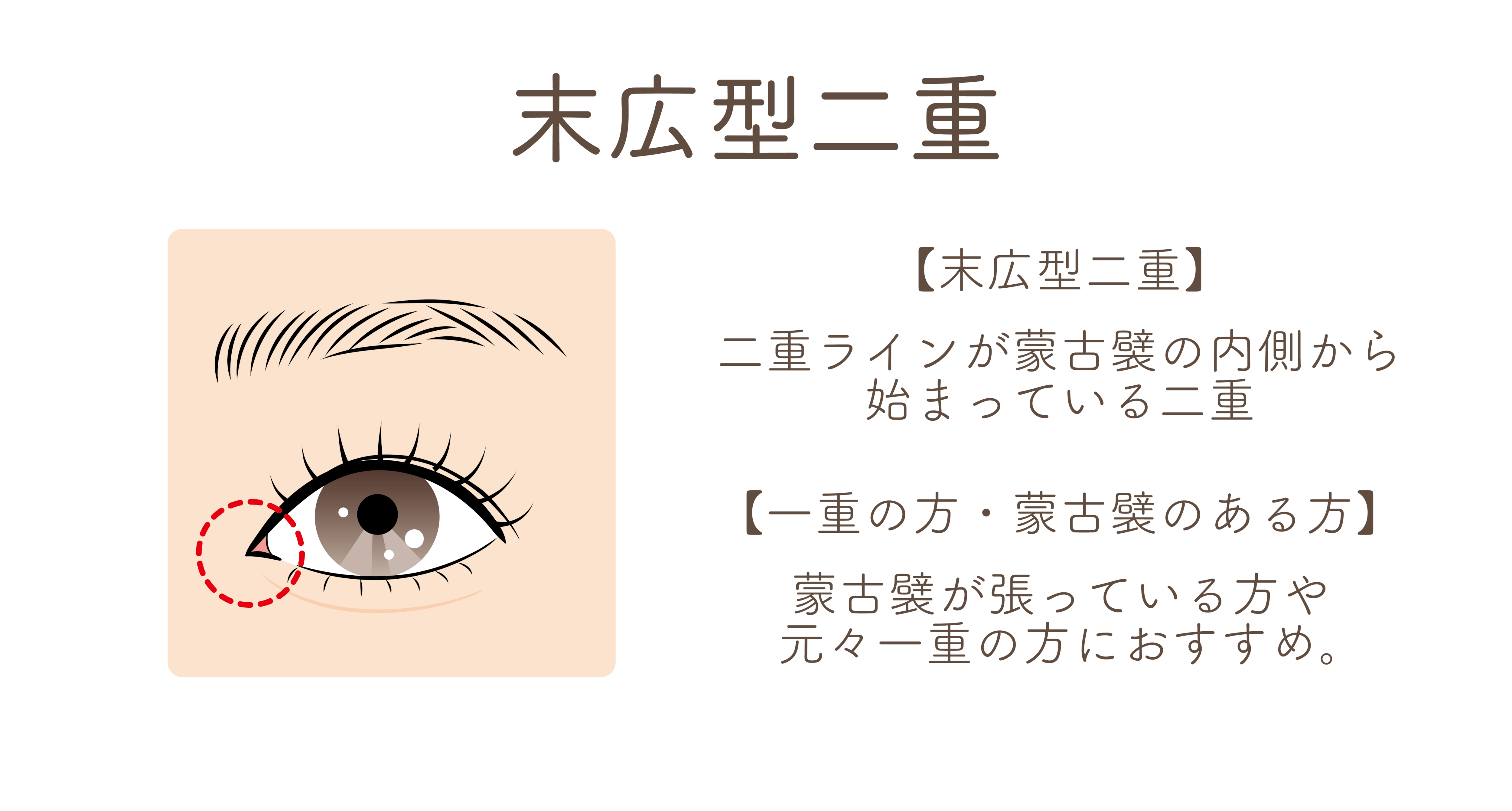 日本人に一番馴染みやすい！
