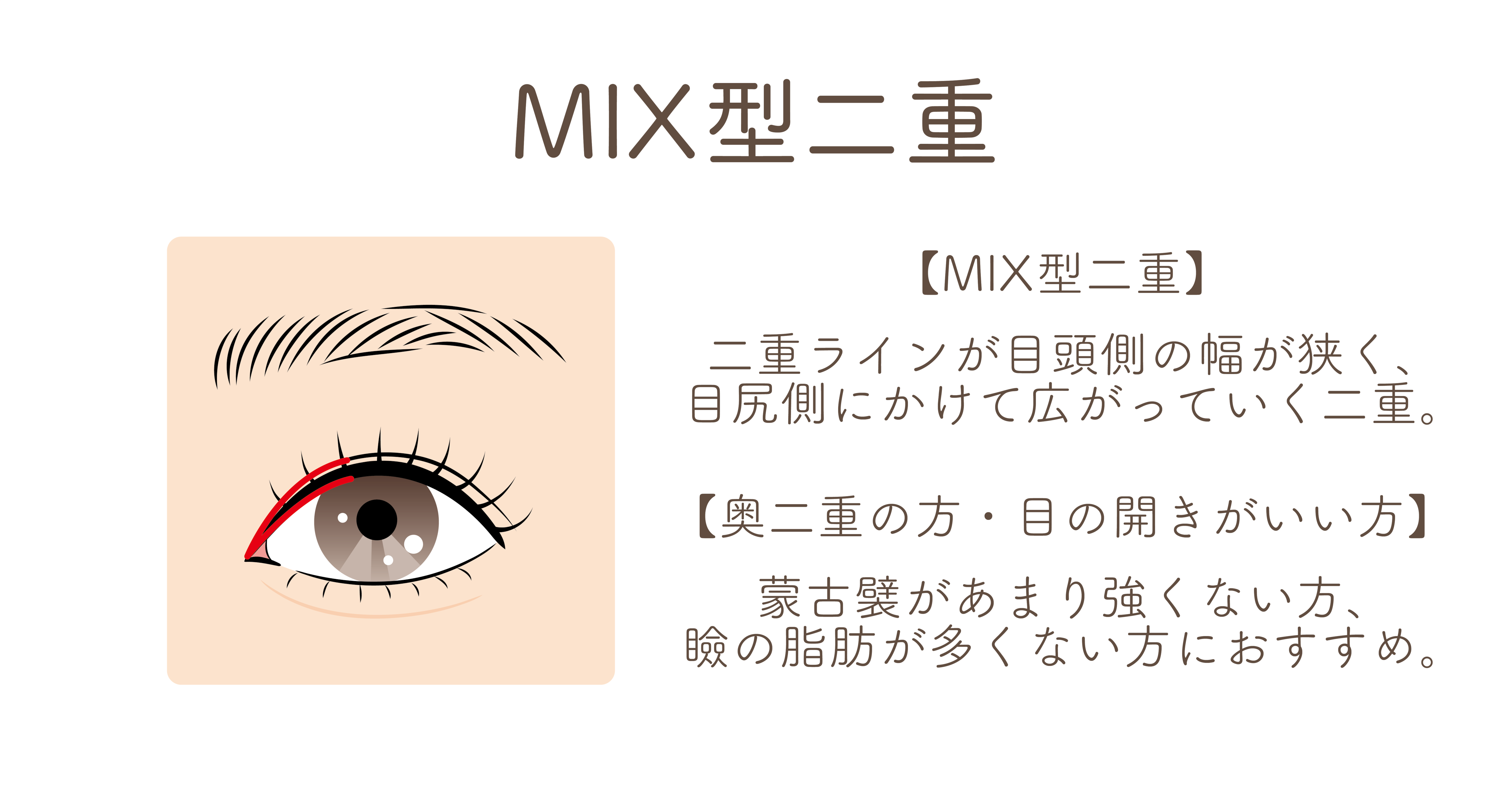 今大流行の二重幅