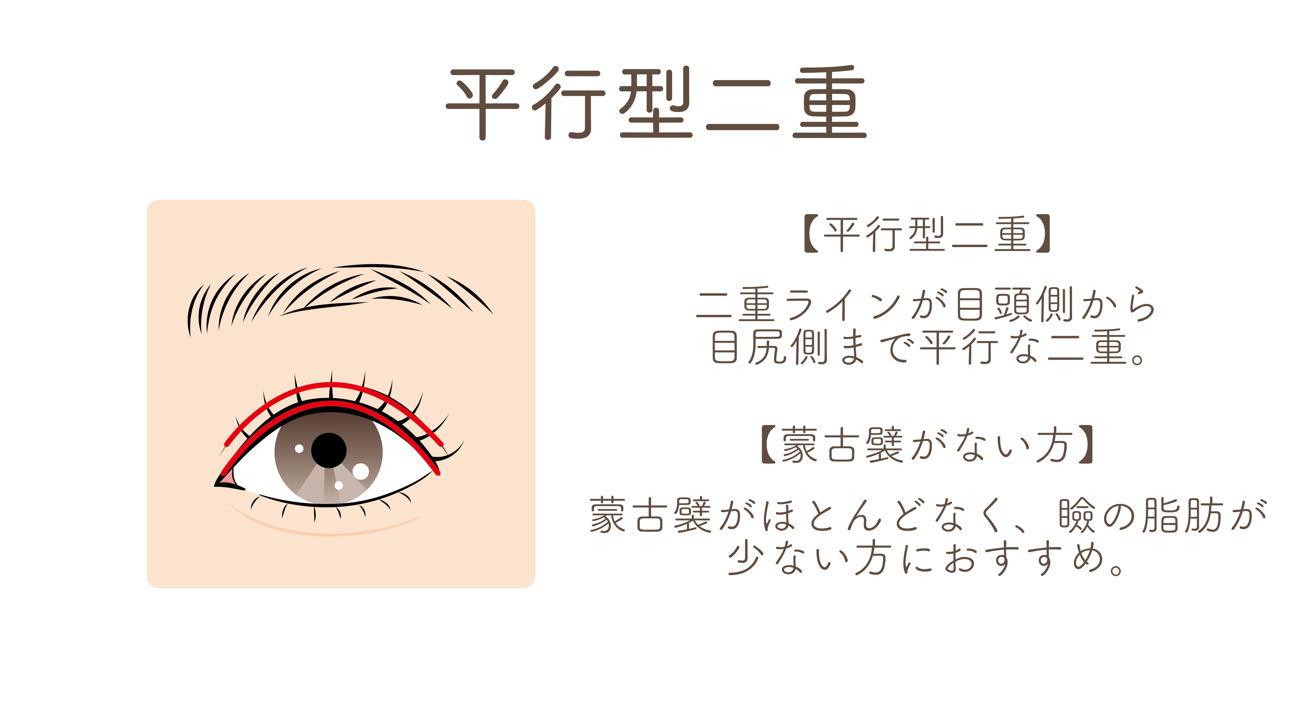 華やかさNo1⭐