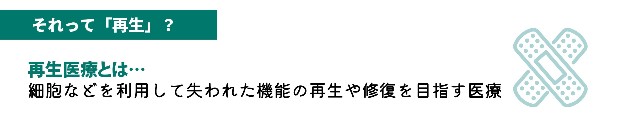 ジュブゼンについての解説