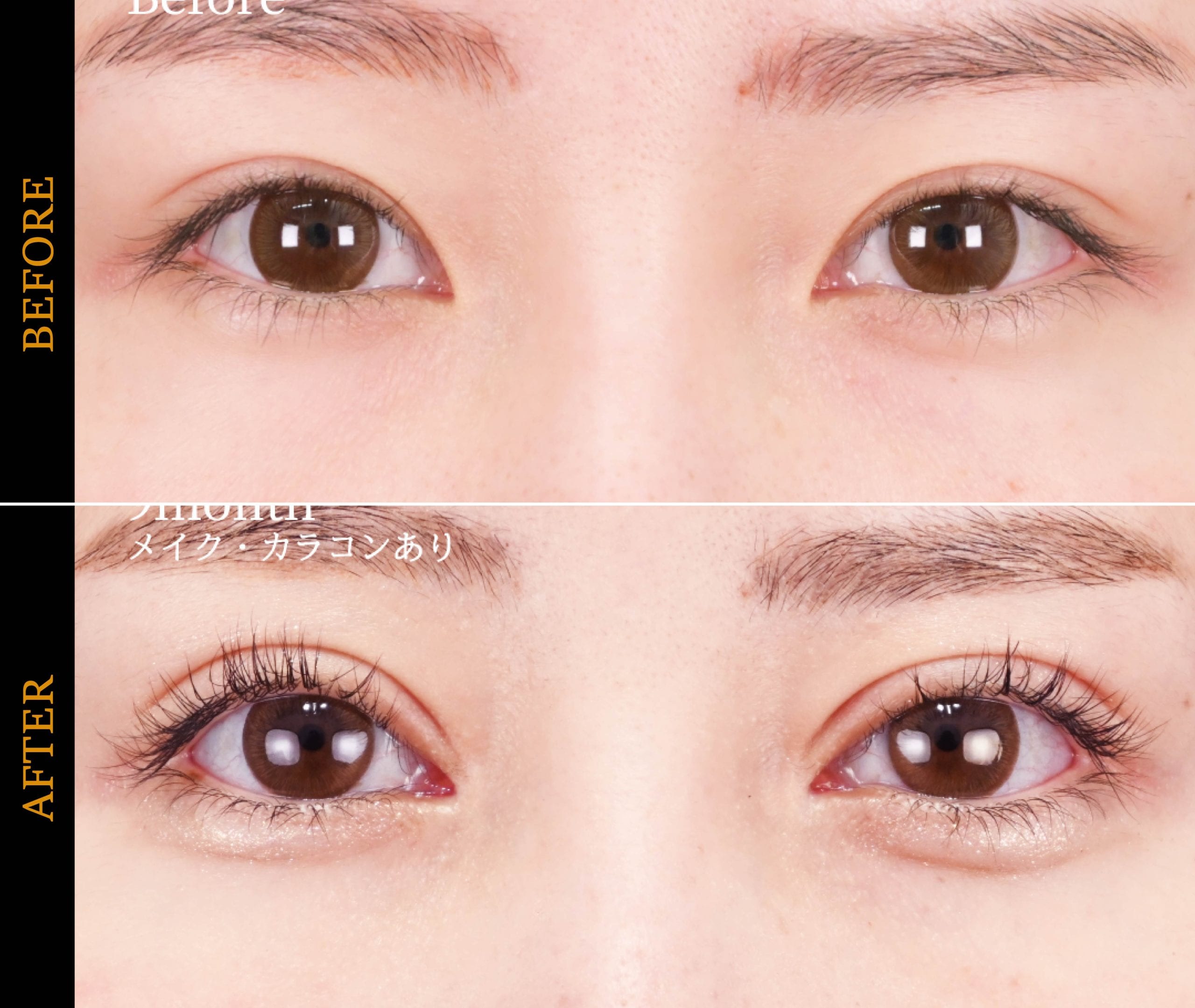 ブラックフライデー