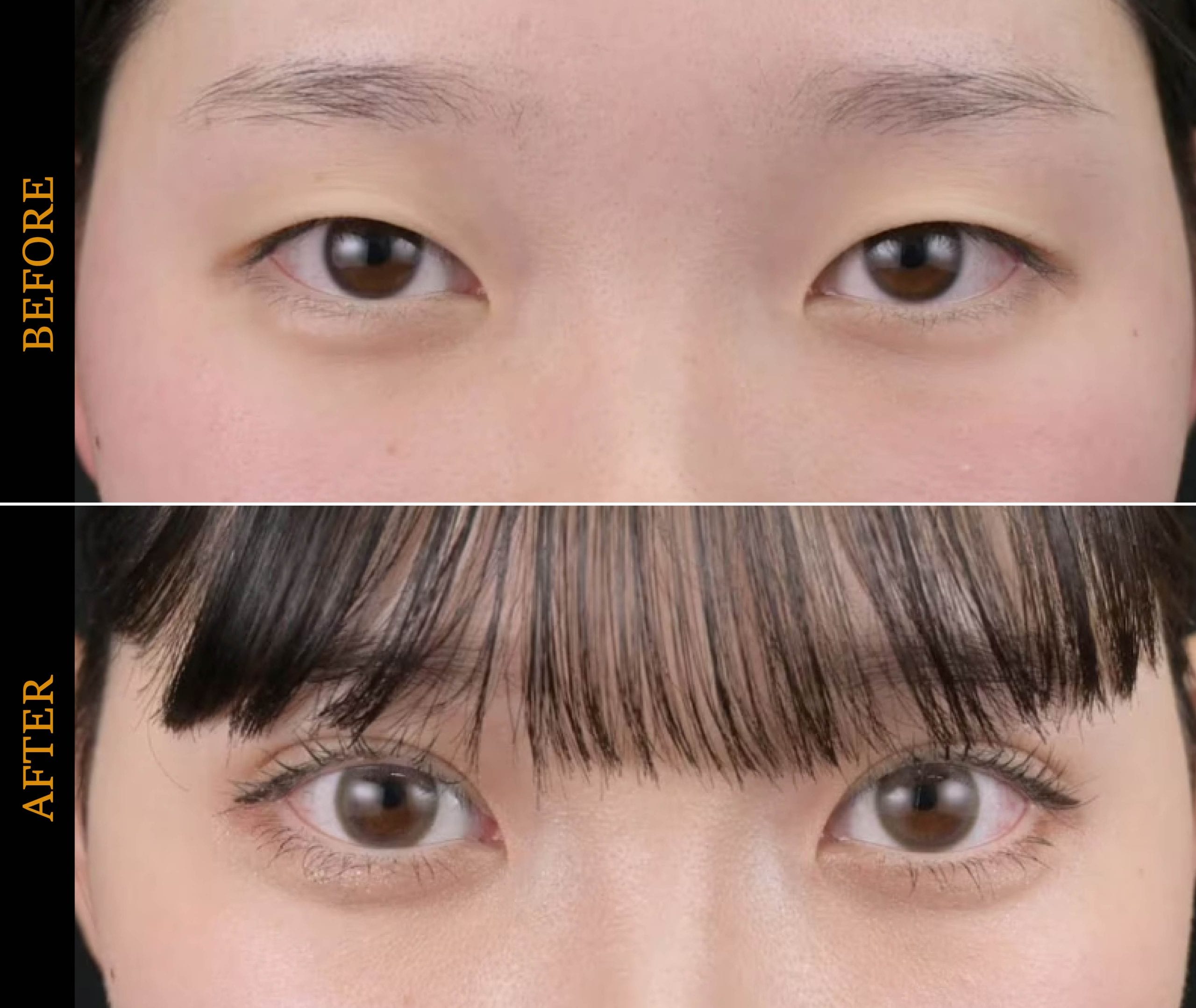 ブラックフライデー