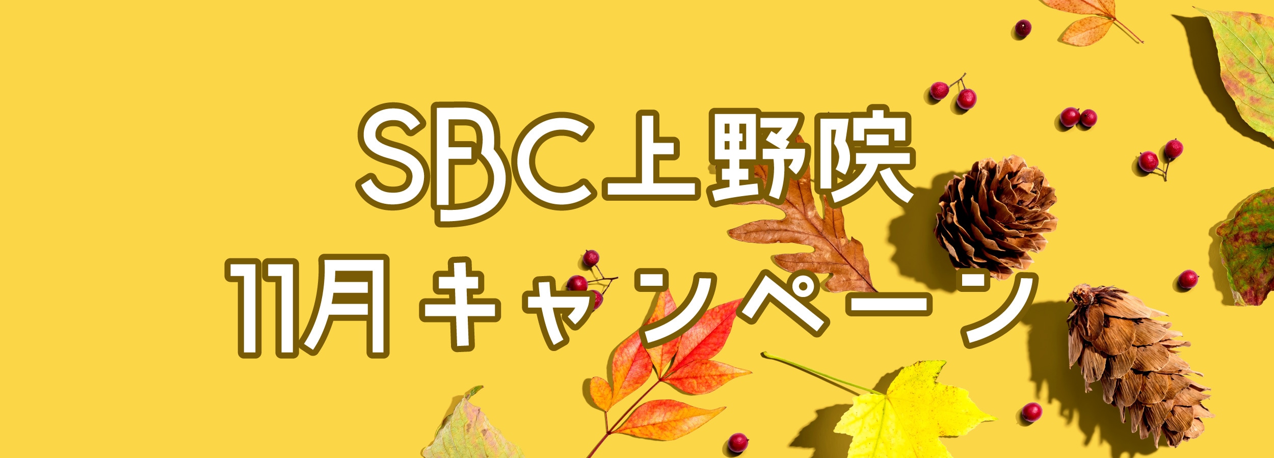 11月のキャンペーン
