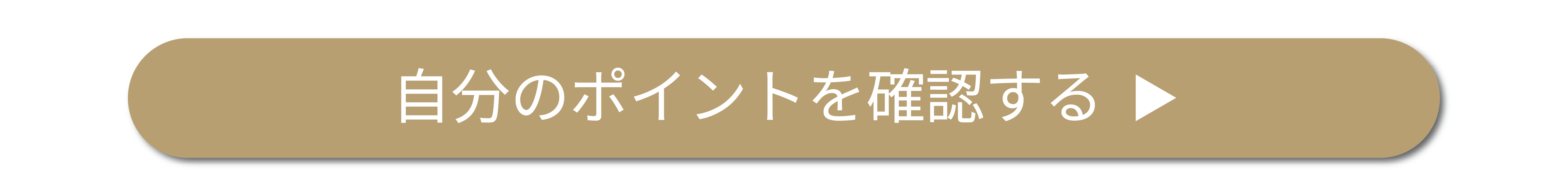 ポイント確認ボタン
